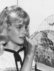 Джули Энн Хэддок