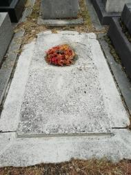 Франсуа Летерье